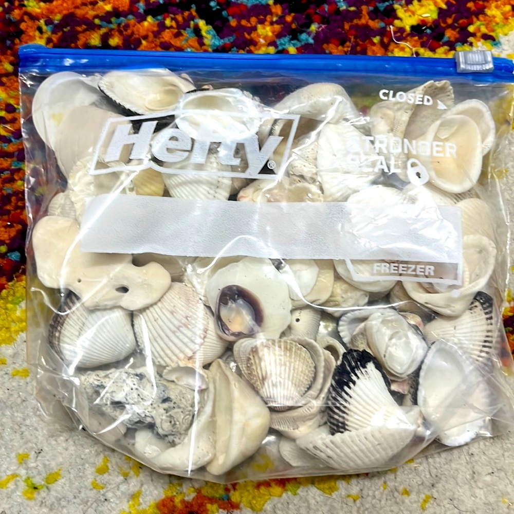 Shells as you can see in the pictures